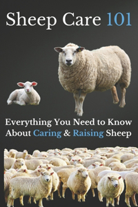 Sheep Care 101