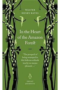 In the Heart of the Amazon Forest