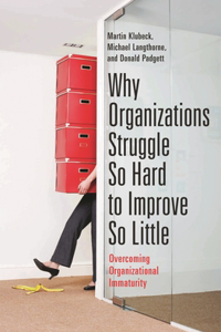Why Organizations Struggle So Hard to Improve So Little