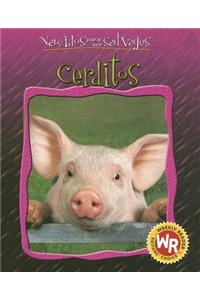 Cerditos (Little Pigs)