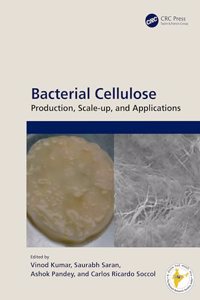 Bacterial Cellulose