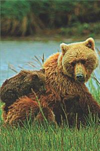 Brown Bear Family Journal