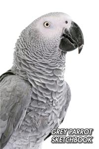 Grey Parrot Sketchbook