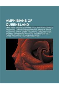 Amphibians of Queensland