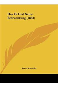 Ei Und Seine Befruchtung (1843)