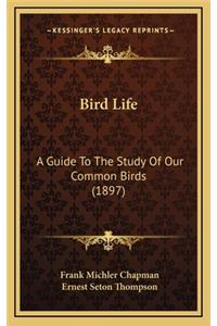 Bird Life