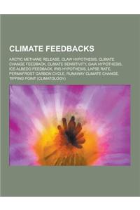Climate Feedbacks