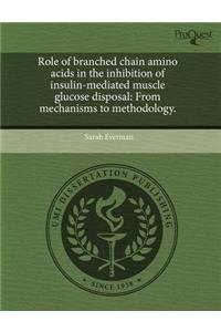 Role of Branched Chain Amino Acids in the Inhibition of Insulin-Mediated Muscle Glucose Disposal: From Mechanisms to Methodology