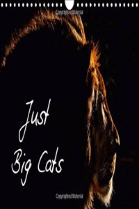 Just Big Cats 2018