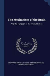 Mechanism of the Brain
