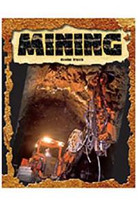 Rigby Focus Forward: (Group 2, Set C) Mining