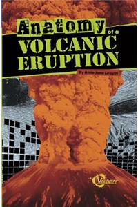 Anatomy of a Volcanic Eruption