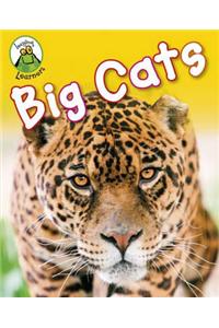 Big Cats