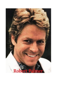 Robert Palmer