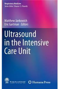 Ultrasound in the Intensive Care Unit