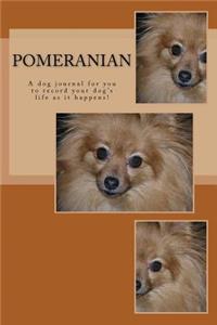 Pomeranian