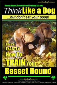 Basset Hound, Basset Hound Training AAA AKC