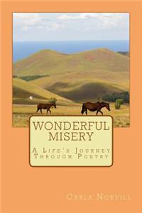 Wonderful Misery