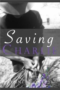 Saving Charlie: Volume 9 (Stories of Serendipity)