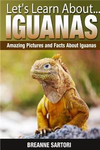 Iguanas: Amazing Pictures and Facts about Iguanas