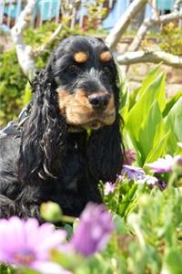 The English Cocker Spaniel Dog Journal