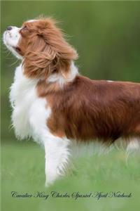 Cavalier King Charles Spaniel April Notebook Cavalier King Charles Spaniel Record, Log, Diary, Special Memories, to Do List, Academic Notepad, Scrapbook & More