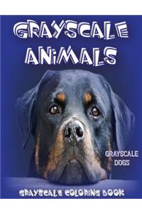 Grayscale Animals Dogs
