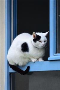 Delightful Black and White Cat in the Window Pet Journal
