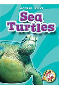 Sea Turtles