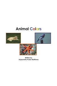 Animal Colors