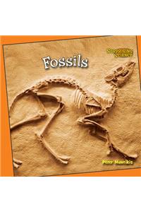 Fossils