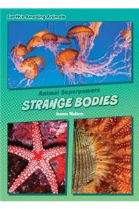 Strange Bodies