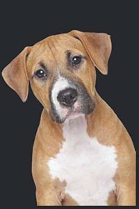 My Dog Notebook