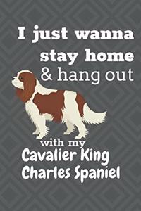 I just wanna stay home & hang out with my Cavalier King Charles Spaniel