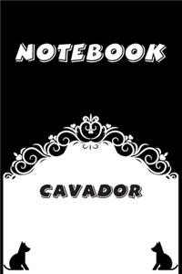 Cavador Notebook