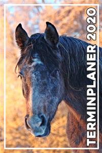 Terminplaner 2020