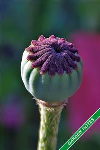 Garden Notes