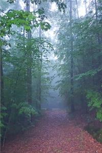 2020 Weekly Planner Foggy Morning Woodland Path 134 Pages