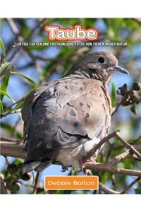Taube