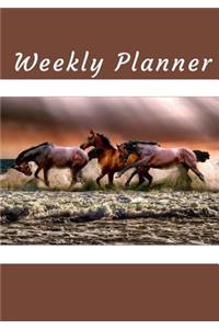 Weekly Planner