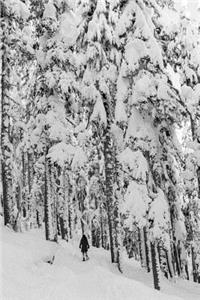Winter Journal