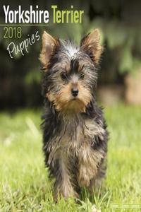 Yorkshire Terrier Puppies Calendar 2018