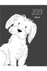 2019 Maltese