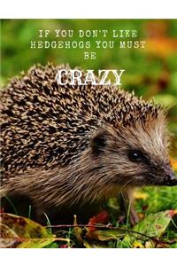 If You Don't Like Hedgehogs You Must Be Crazy