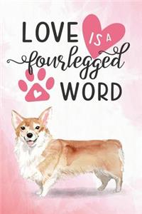 Love Is a Four Legged Word