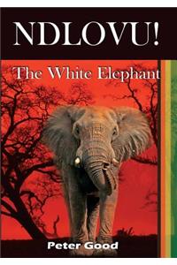Ndlovu - The White Elephant