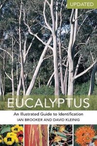 Eucalyptus