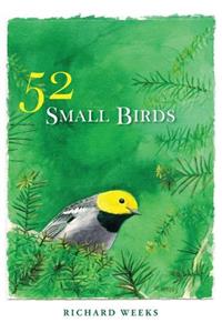 52 Small Birds