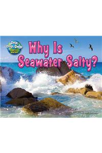 Why Is Seawater Salty?