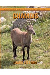 Chamois